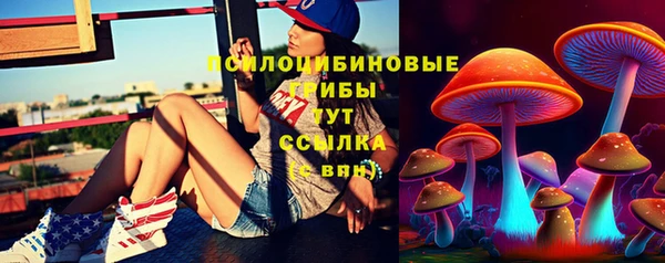 каннабис Дмитриев